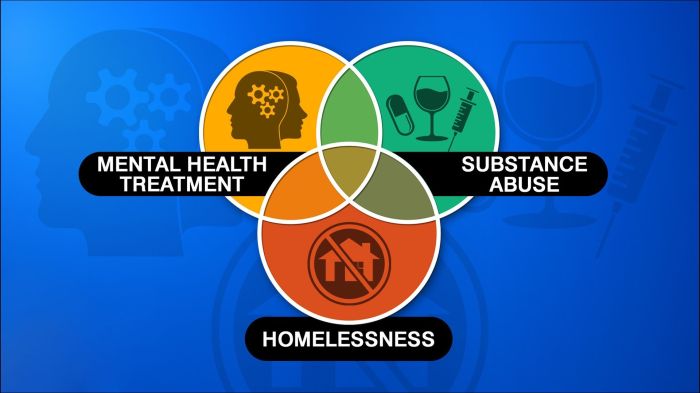 Mental health advocacy for the homeless
